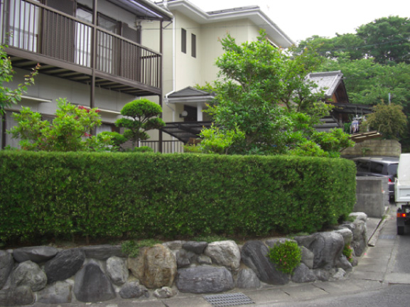 img01.jpg